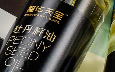 簽約潞安集團智華天寶品牌網站建設項目